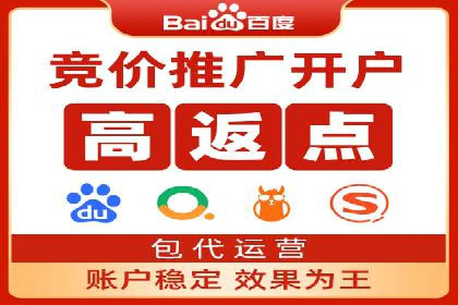 推广竞价实战经验：成功案例分享与启示